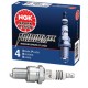 NGK Iridium IX Plugs